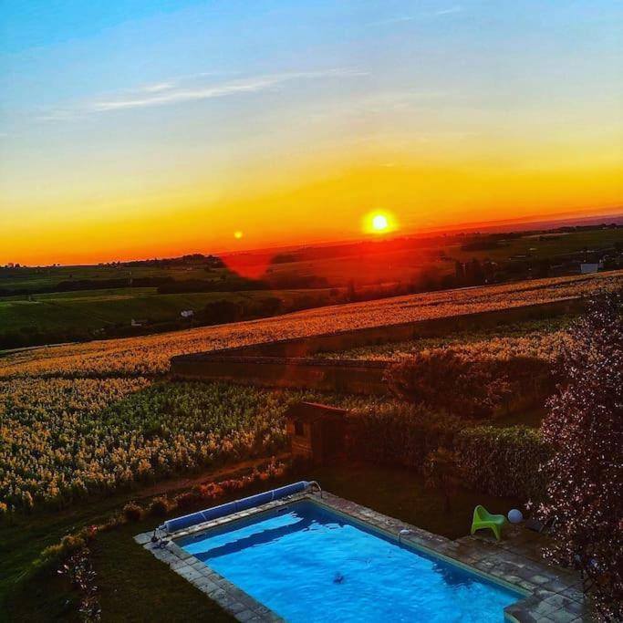 Au Coeur Des Vignes Chenas Du Beaujolais Apartment La Chapelle-de-Guinchay Екстериор снимка