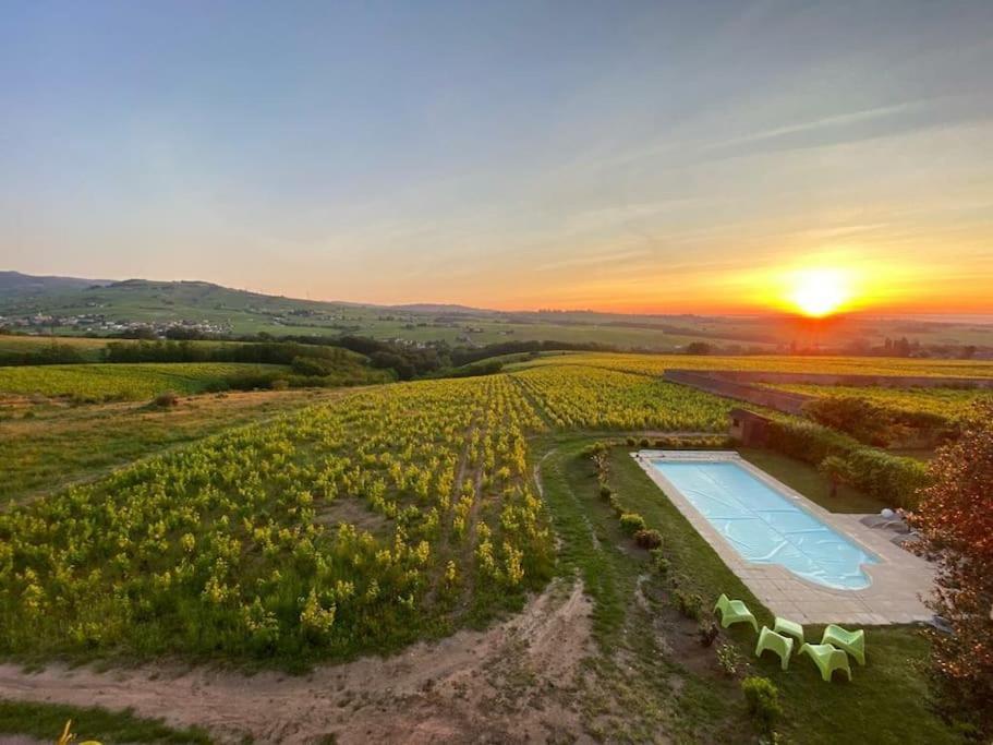 Au Coeur Des Vignes Chenas Du Beaujolais Apartment La Chapelle-de-Guinchay Екстериор снимка