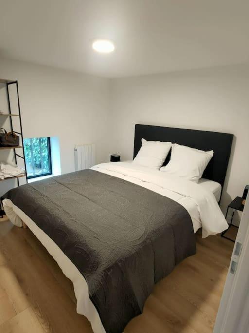 Au Coeur Des Vignes Chenas Du Beaujolais Apartment La Chapelle-de-Guinchay Екстериор снимка