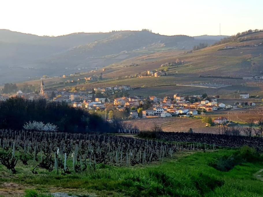 Au Coeur Des Vignes Chenas Du Beaujolais Apartment La Chapelle-de-Guinchay Екстериор снимка